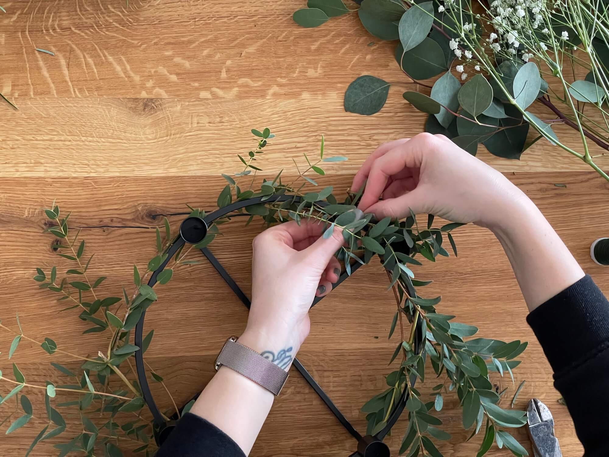 Oh Eukalyptus, ich mag dich!